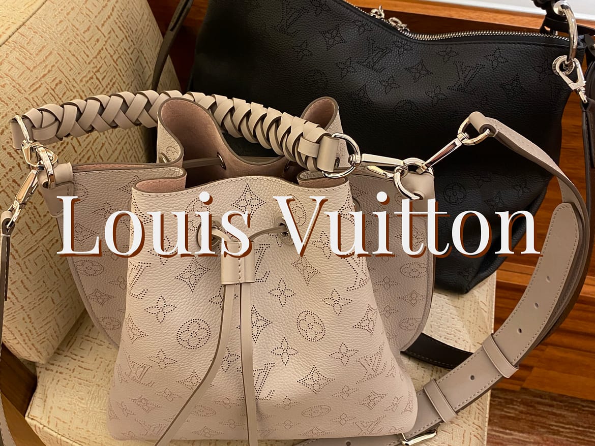 Louis Vuitton Purse Shopping 2021