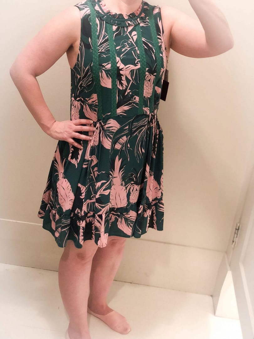 Aritzia Sunday Best Raleigh Dress