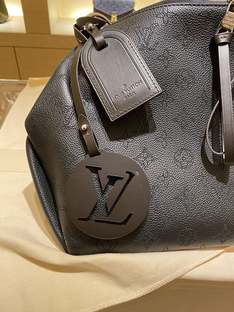 Louis Vuitton_ BEAUBOURG HOBO MM_Mahina_Black